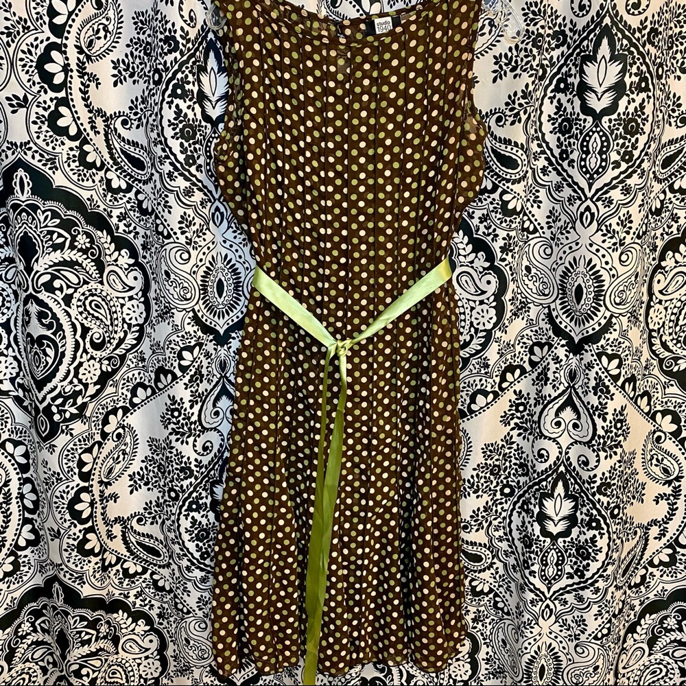 Sheer Brown Dress with Green & White Polkadots